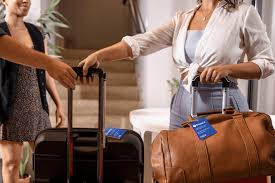 understanding-vellozgalgoen